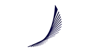 Blue Panorama Airlines