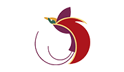 Air Niugini
